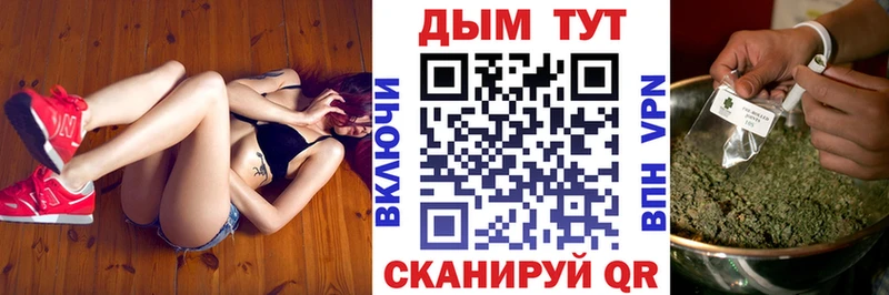 Канабис сатива Орехово-Зуево